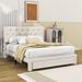 Winston Porter Januelle Storage Bed Upholstered/Velvet in Brown | 45 H x 60 W x 81 D in | Wayfair D594764C732144BC9F3DAB42A994E4BB