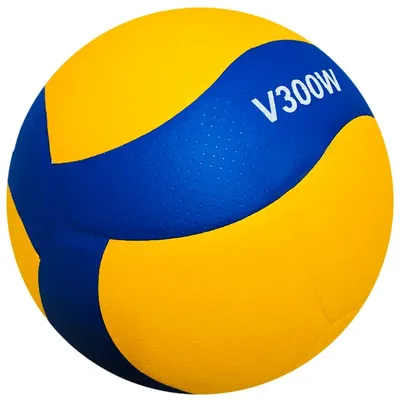 Équipement d'entraînement de volley-ball en salle V200W V300W 5 jeux professionnels de