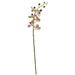 29" Phalaenopsis Orchid Artificial Flower (Set of 4) - 29