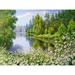 DIY Painting by Numbers for Adults Children Girls Flower Lake Tree Landscape 40 x 50 cm Pre-Printed Canvas Oil Painting (with Frame)