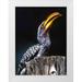 Williams Joanne 25x32 White Modern Wood Framed Museum Art Print Titled - South Kruger NP Yellow-billed hornbill on tree