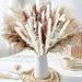 Aosijia 80 Pcs Natural Dried Pampas Grass Bouquet Bohe Home Decoration Bouquet Reed Dried Flowers Wedding Flower Ornament Bouquet