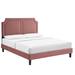 Novi Performance Velvet Bed by Modway Upholstered/Velvet in Pink | 56.5 H x 41.5 W x 80.5 D in | Wayfair MOD-6798-DUS