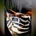 Dooney & Bourke Bags | Dooney & Bourke Rare Find Zibra Print Tote Bag | Color: Red | Size: Os
