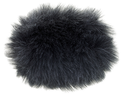 Rycote Windjammer für Tascam DR-100
