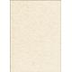 SIGEL DP655 Hochwertiges Struktur-Papier / Karton Pergament champagne, A4, 50 Blatt, Motiv beidseitig, 200 g, Urkundenpapier, aus nachhaltigem Papier