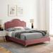 Aviana Performance Velvet Bed by Modway Upholstered/Velvet in Pink/Gray | 57 H x 63.5 W x 90 D in | Wayfair MOD-6819-DUS