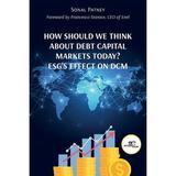 How Should We Think About Debt Capital Markets Today? ESG s Effect On DCM (Paperback)