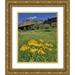 Terrill Steve 15x18 Gold Ornate Wood Framed with Double Matting Museum Art Print Titled - CO Mill Creek Valley Sneezeweed blooming