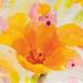 Winston Porter Bright Tulips I by Albena Hristova - Wrapped Canvas Print Canvas | 20 H x 20 W x 1.25 D in | Wayfair