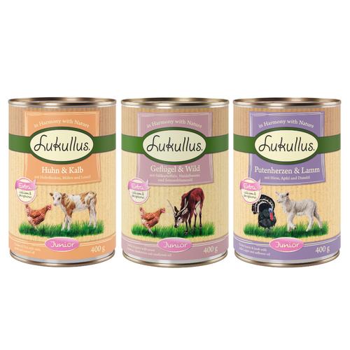 10 + 2 gratis! 12 x 400 g Sparpaket Lukullus Naturkost - Mixpaket 4 Junior (3 Sorten)