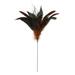 16 Pack: Chocolate Peacock Feather Pick by AshlandÂ®