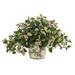 Nearly Natural Hoya Artificial Plant in Floral Print Planter