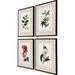 Paragon Tropical Botanical II S/4 by Turpin - 4 Piece Picture Frame Print Set Paper, Wood in Green/Red | 26 H x 20 W x 2 D in | Wayfair 31095