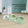 Distributeur automatique d'eau et de nourriture pour animaux de compagnie bols doubles pour chats