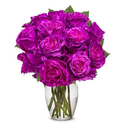 One Dozen Magenta Roses