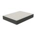 Full Firm 11.5" Hybrid Mattress - Alwyn Home Koschwanez | 75 H x 54 W 11.5 D in Wayfair 390AD9CF65D94E8CA85737E947F99096