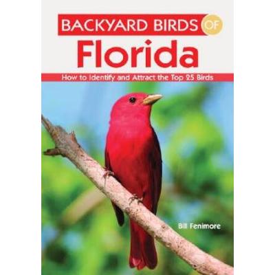 Backyard Birds Of Florida How To Identify And Attr...
