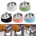 Mangeoire fixe pour animaux de compagnie fournitures pour chiot chien chat protéger la colonne