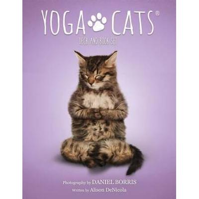 Yoga Cats Deck Book Set