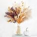 100pcs Pampas Dried Flower Natural Small Reed Bunny Tails Grass Bouquet Valentine s Day Wedding Birthday Gift Home Office Vase Arrangement Flower