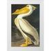 Audubon John James 17x24 White Modern Wood Framed Museum Art Print Titled - American White Pelican