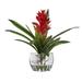 Primrue Ginger Plant In Glass Cube Polyester in Red | 15 H x 12 W x 12 D in | Wayfair A6E5E76F181A4B508E7C4D2B95DFAA25