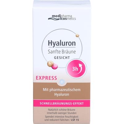 Dr. Theiss - Hyaluron Express Gesichtspflege Selbstbräuner 30 ml Image