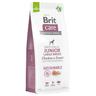 Brit Care Sustainable Junior Large Breed Pollo & Insetti Crocchette cane - Set %: 2 x 12 kg