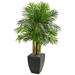 Nearly Natural Kentia Palm Artificial Tree in Black Planter