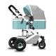 Two-Way Stroller for Infant Umbrella Baby Stroller & Reversible Bassinet Pram Upgrade 2 in 1 Pushchair,Lightweight|Portable|Foldable Up to 25kg (Color : Green)