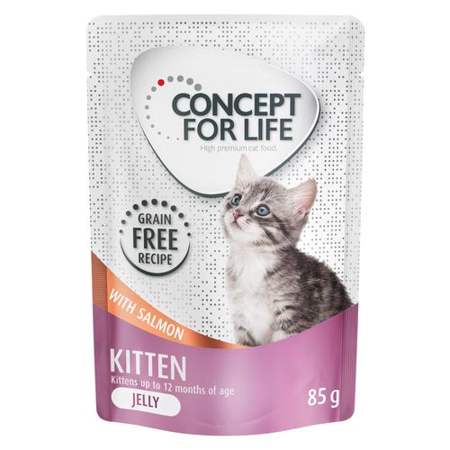 12 x 85 g Concept for Life Kitten Lachs getreidefrei - in Gelee