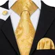 Wang – cravate Paisley en soie dorée pour hommes ensemble de cravates pour hommes fête de mariage