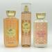 Bath and Body Works Peach Prosecco Macaron 10oz Shower Gel 8oz Fine Fragrance Mist and 8oz Body Lotion 3-Piece Bundle