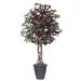 Vickerman TEX0360-RG 6 ft. Capensia Executive Round Container Tree Grey