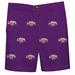 Youth Purple North Alabama Lions Team Logo Structured Shorts