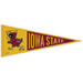 WinCraft Iowa State Cyclones 13" x 32" Vault Pennant