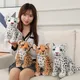 Jouets en peluche Kawaii Husky 30-70cm oreiller en peluche d'animaux gras poupées douces coussin