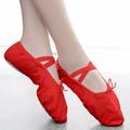 Floleo Clearance Girls Ballet Elastic Band Dance Shoes Canvas Gymnastics Flats Split Sole Shoes