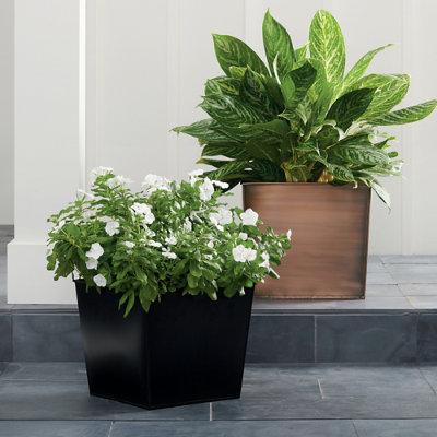 Stainless Steel Short Tapered Planter Pots - Copper, 14-1/2