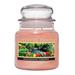 A Cheerful Candle LLC Polynesian Garden Cheerful 24-Ounce Jar Candle Paraffin in Orange | 5.5 H x 4 W x 4 D in | Wayfair CS189