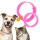 Collier anti-puces pour chien et chat anti-acariens Insecticide anti-moustiques réglable