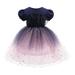 3T Baby Girls Dress Princess Dress Party Dress 4T Girls Birthday Dress Wedding Party Dress Girls Formal Short Sleeve Dress Tulle Dress Blue Dress