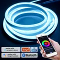 Bande lumineuse Led RGB 750/1500W 220V étanche avec WiFi/Bluetooth/télécommande luminaire