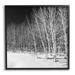 Stupell Industries Mysterious Snowy Forest Looming Nighttime Birch Trees Photograph Black Framed Art Print Wall Art Design by Steve Smith