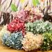 Yirtree Artificial Flowers Silk Hydrangea Flowers with 6 Big Heads Fake Flower Bunch Bouquet for Home Wedding Party Decor DIY