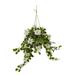 Nearly Natural 3.5ft. Poinsettia and Variegated Holly Artificial Plant in Hanging Metal Bucket (Real Touch)