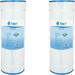 Tier1 Pool & Spa Filter Cartridge 2-pk | Replacement for Pleatco PFAB100 Filbur FC-1950 Unicel C-7699 and More | 100 sq ft Pleated Fabric Filter Media