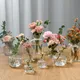 Vase en verre transparent de style japonais mini bouteille d'eau de bureau décoration de salon