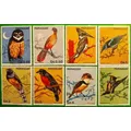 Timbres-poste UNC originaux timbres d'oiseaux et d'animaux du Paraguay 7 + 1 Collection 1983